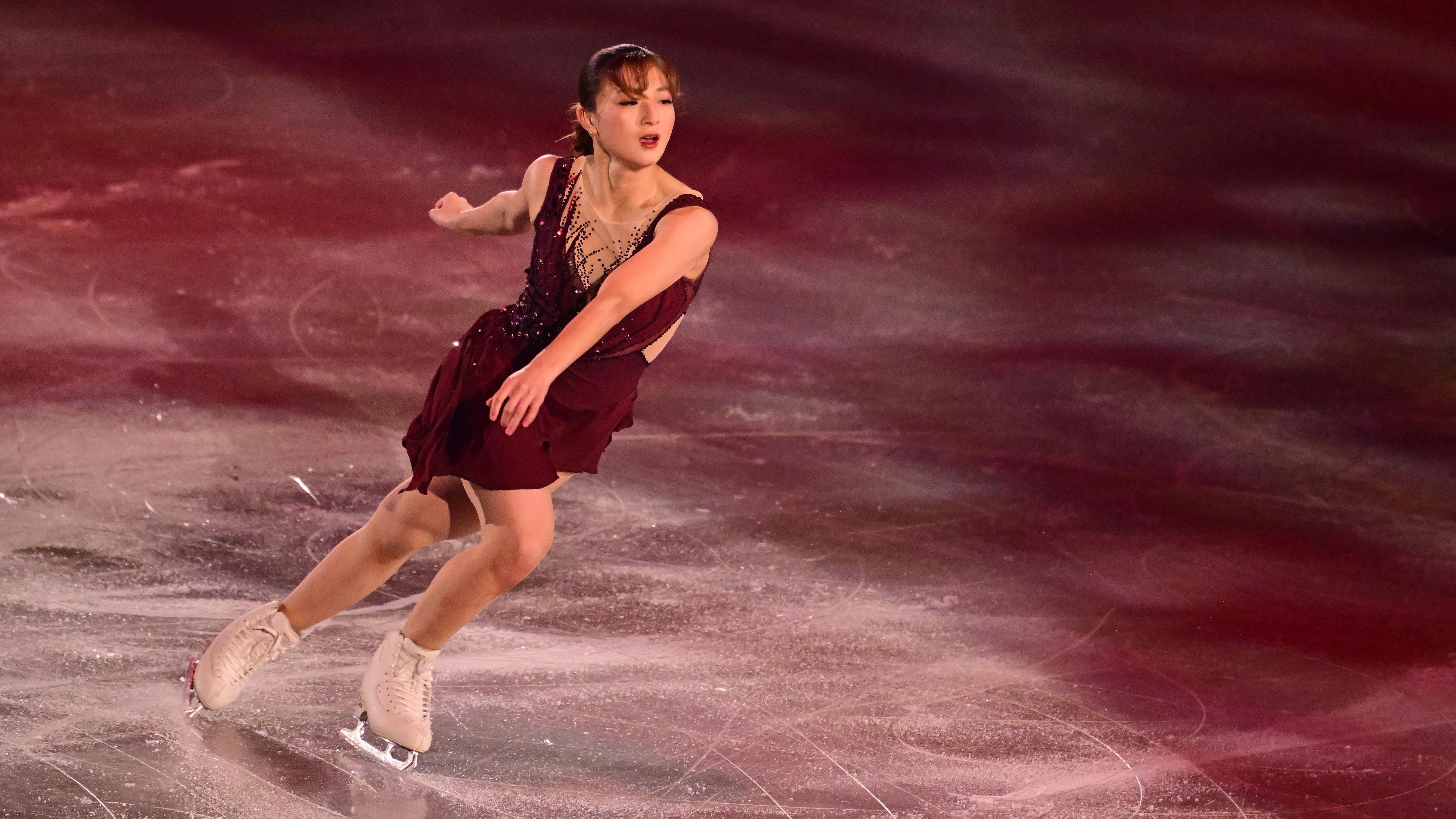 All Japan Medalist On Ice