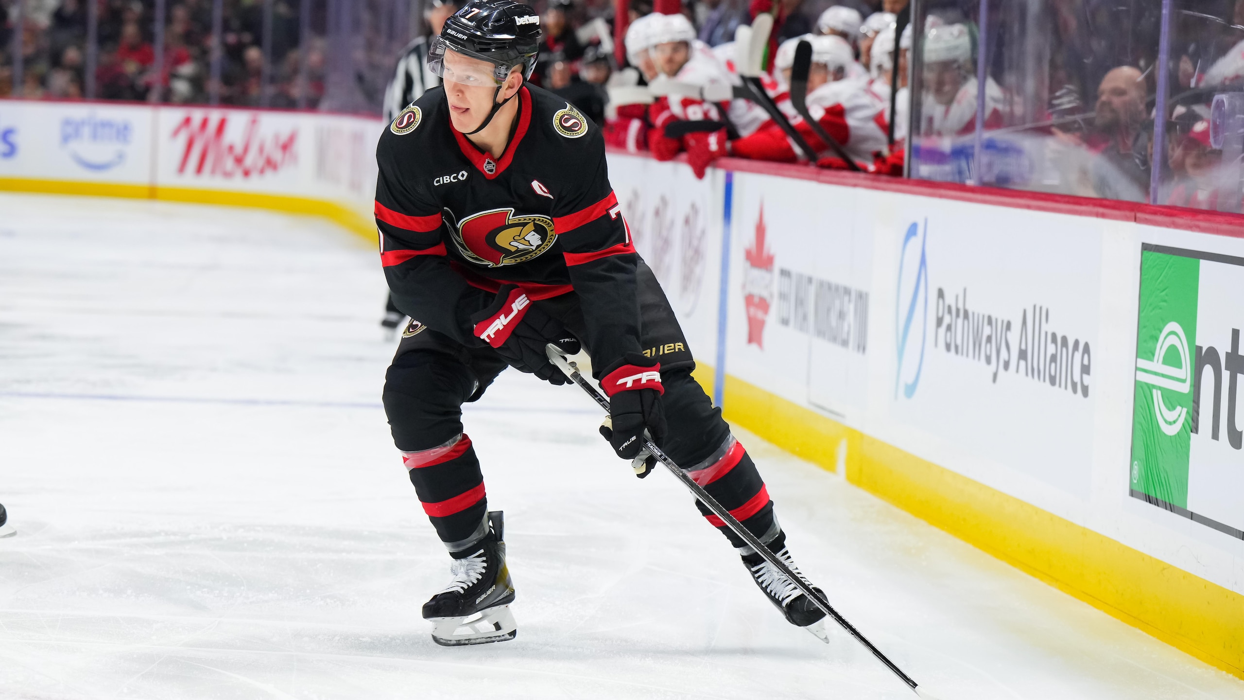Detroit Red Wings v Ottawa Senators