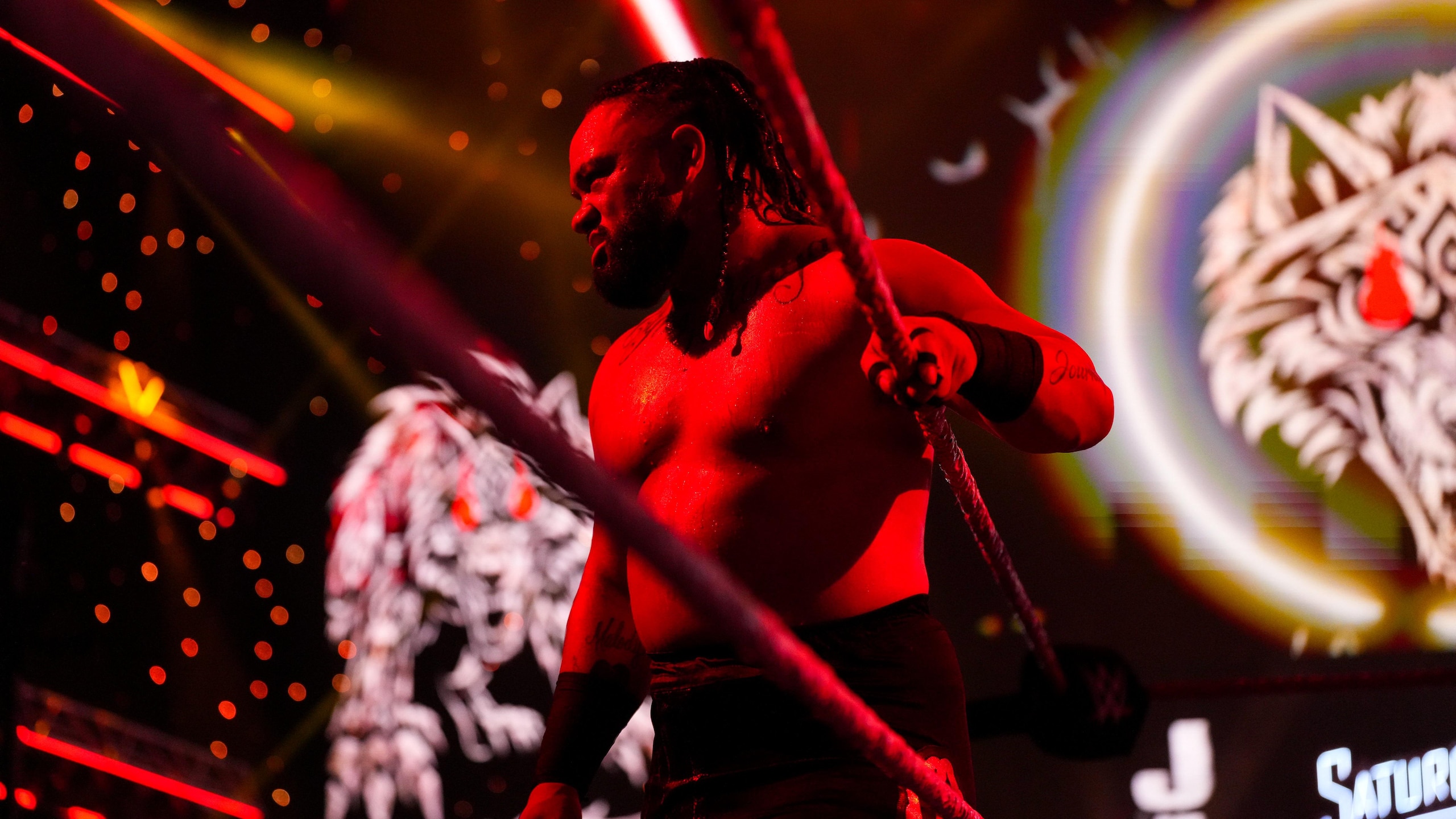 WWE: Saturday Night's Main Event