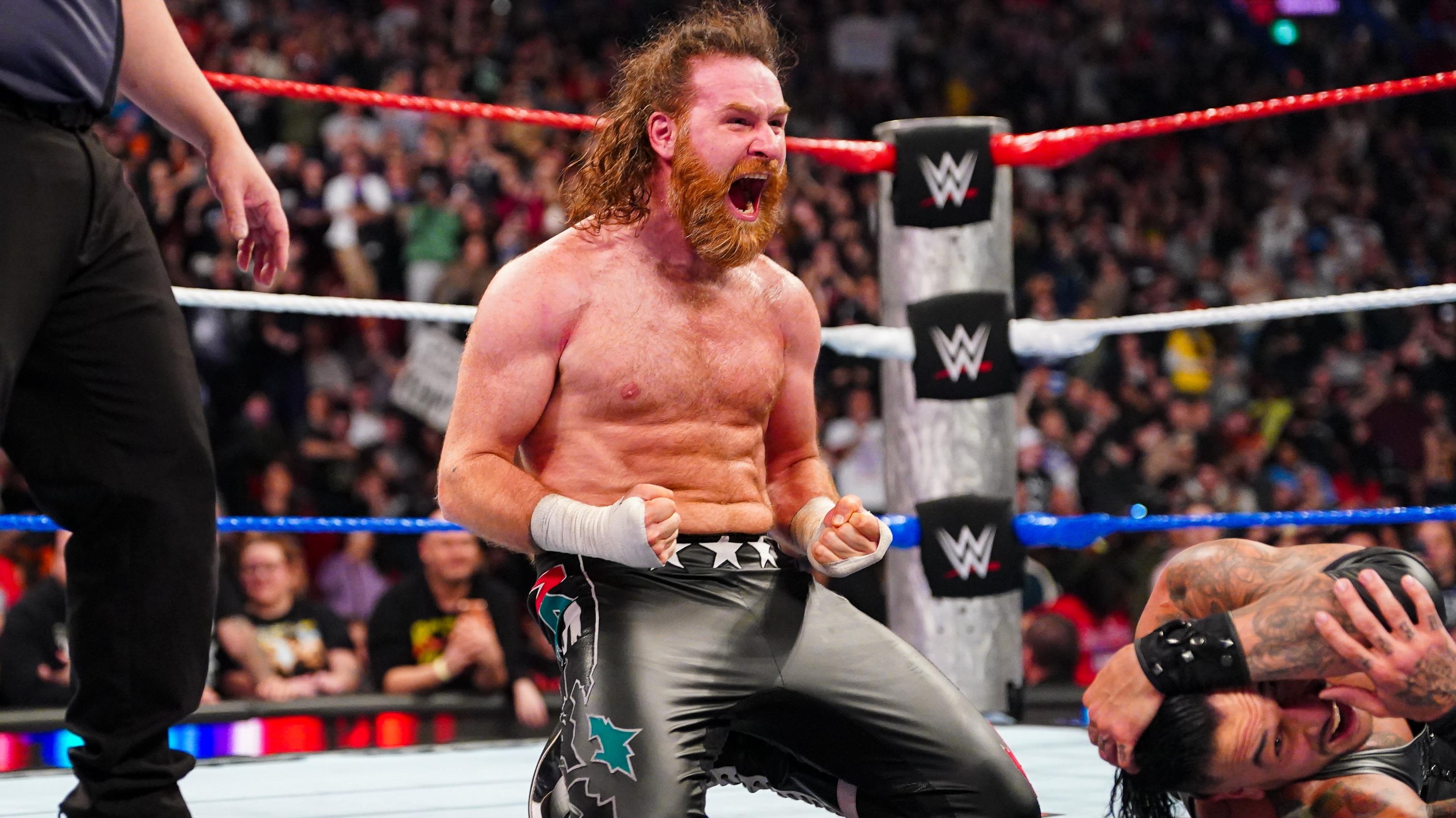 WWE: Saturday Night's Main Event