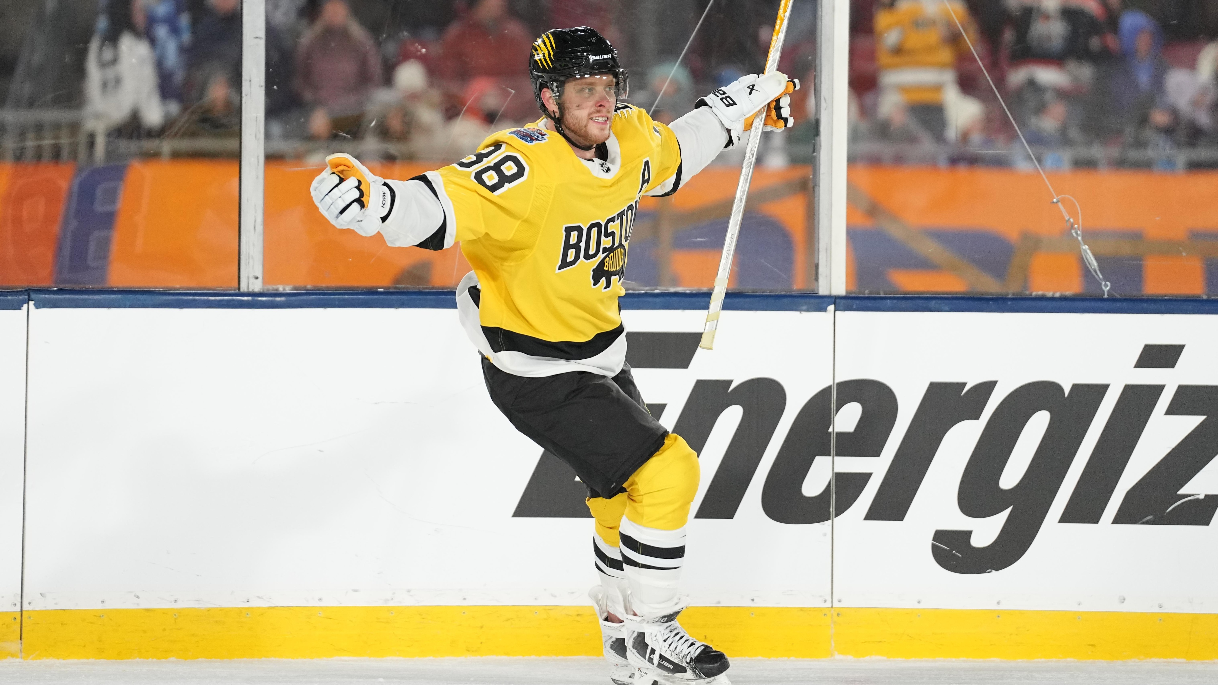 NHL: FEB 01 Stadium Series Bruins vs Lightning