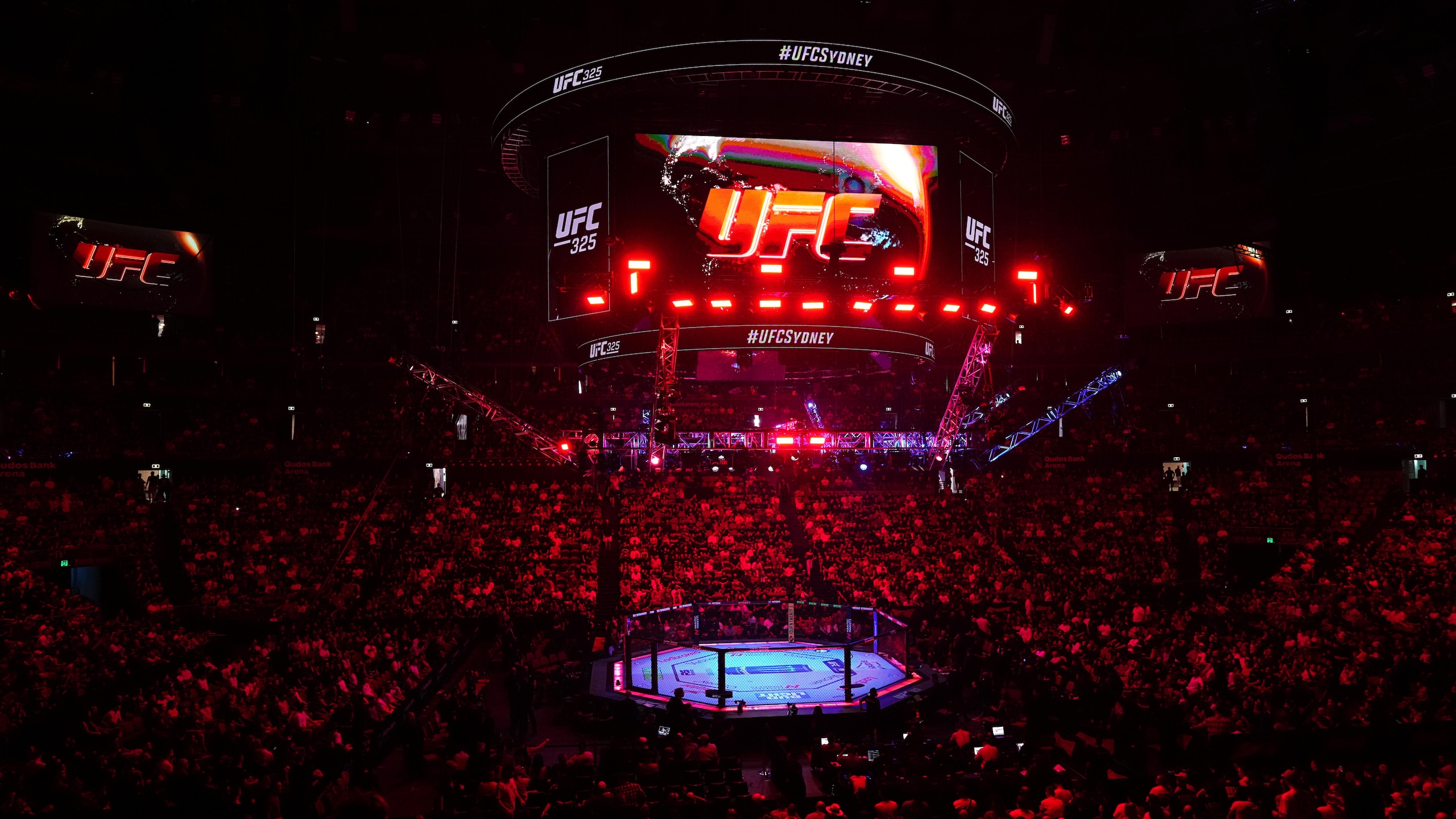 UFC 325: Salkilld v Mullarkey
