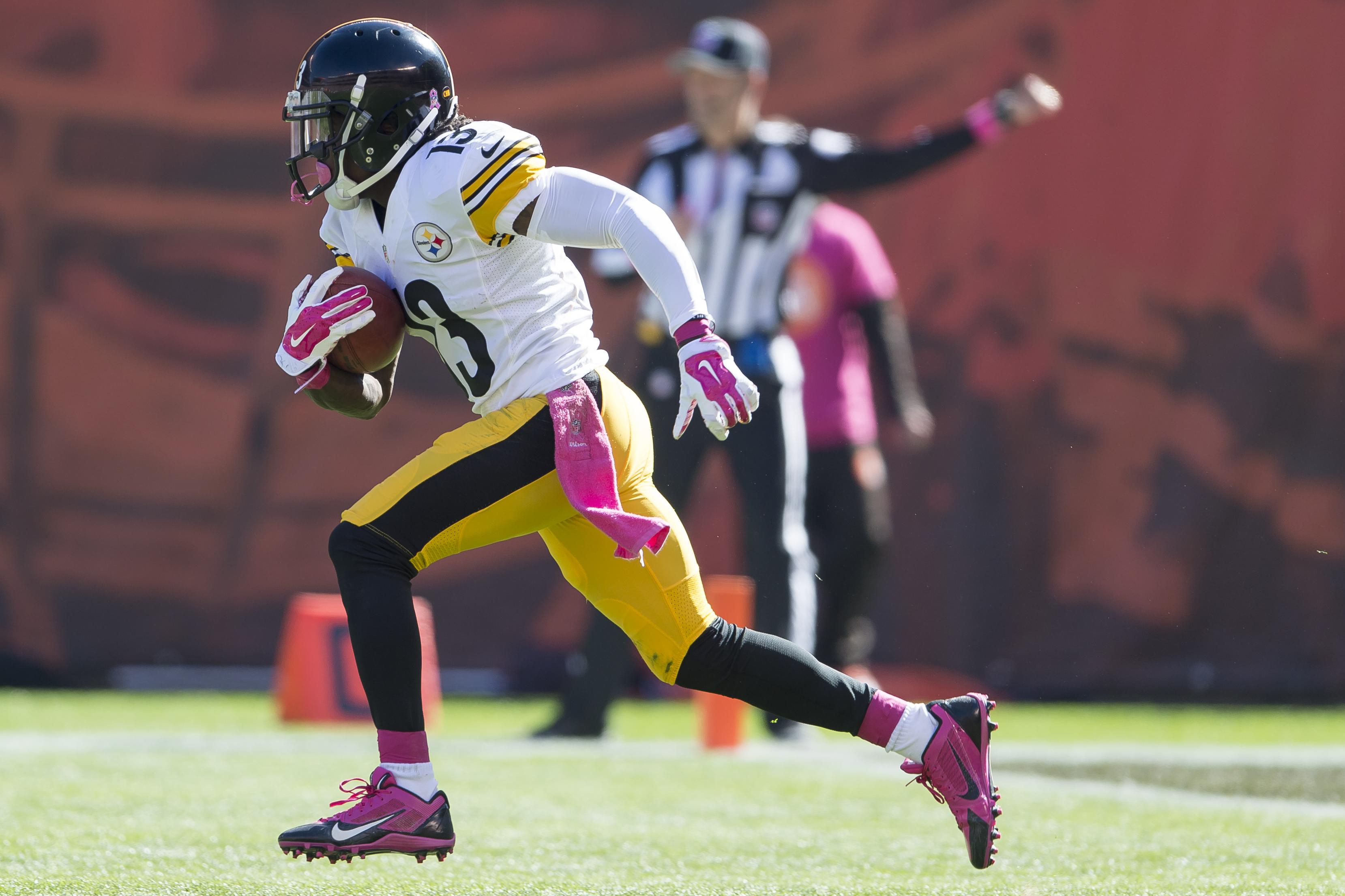 Pittsburgh Steelers v Cleveland Browns