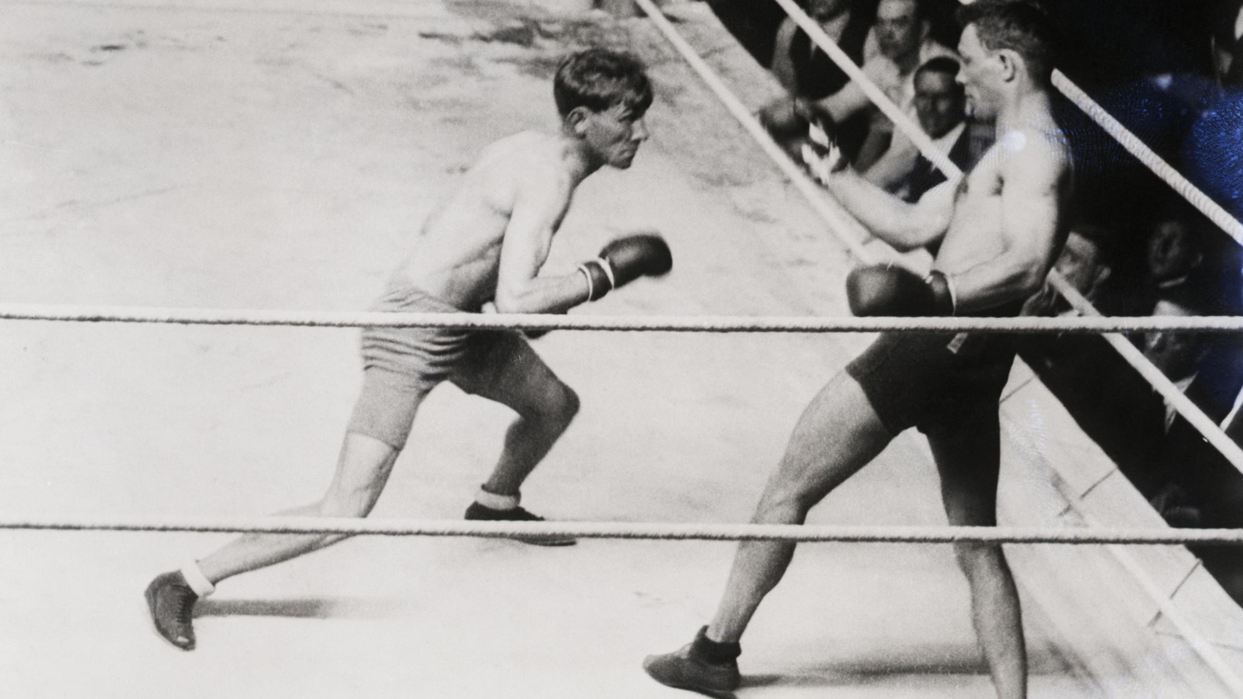 Boxer Backing Opponent Into Corner