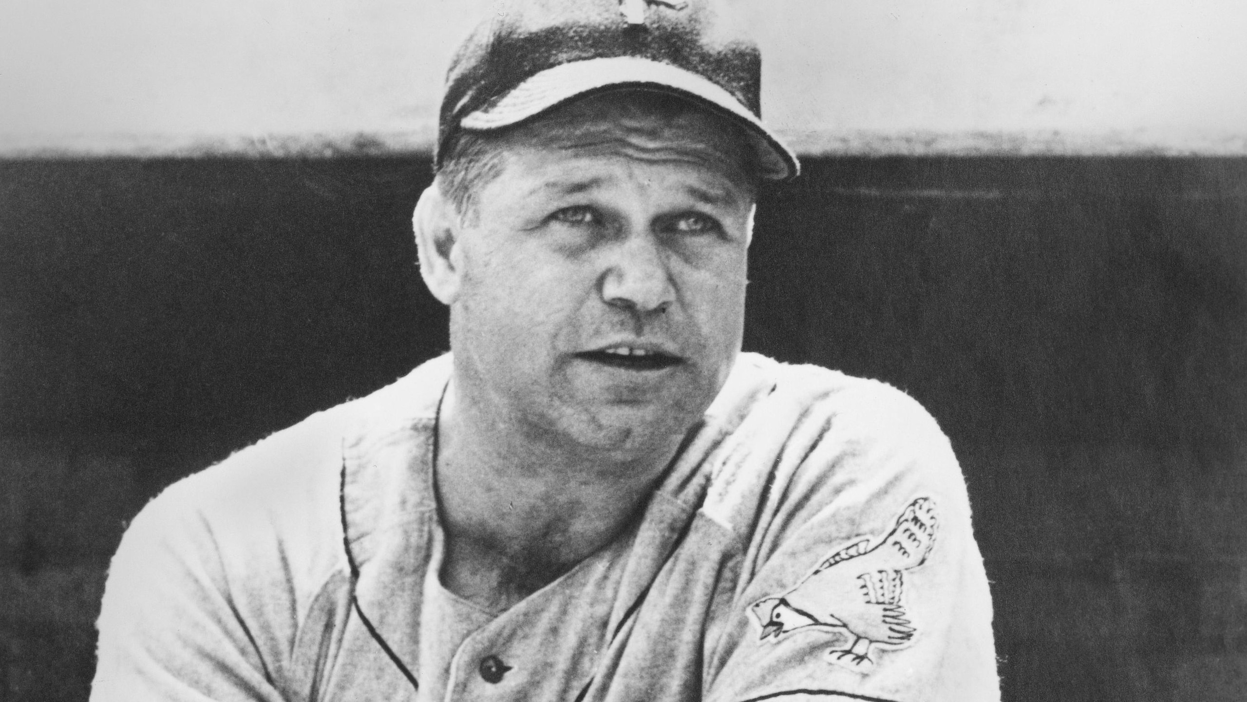 MLB Photos Archive