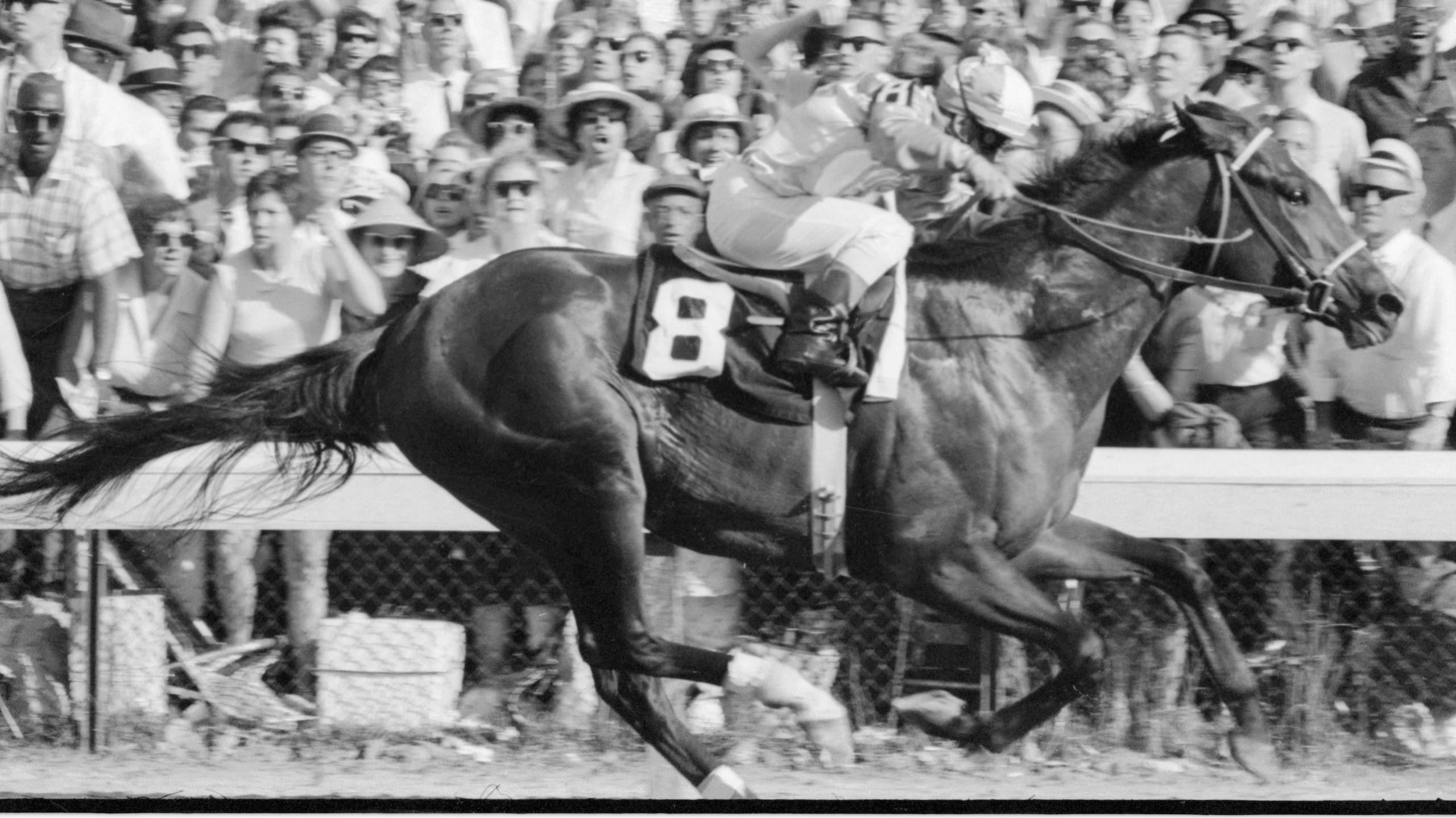 Winner of the 1965 Kentucky Derby