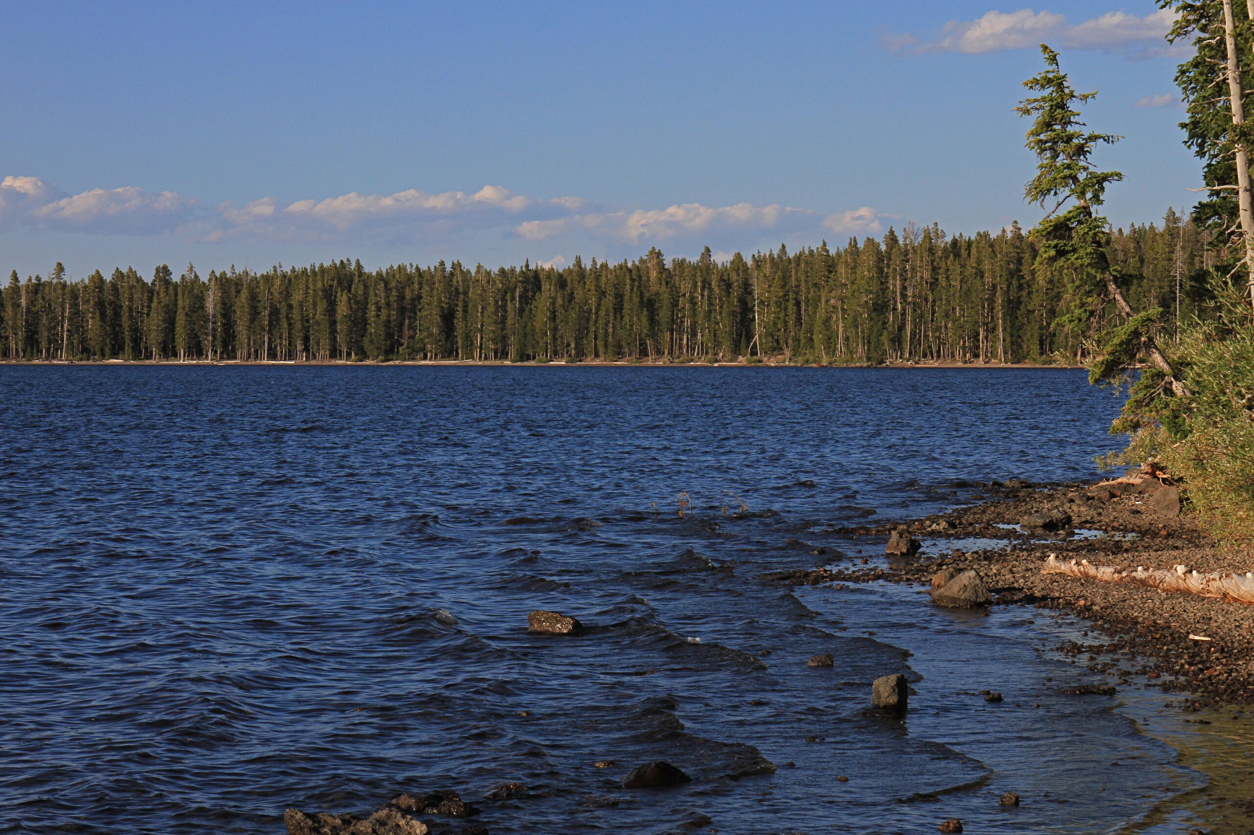 Lewis Lake Lewis Lake