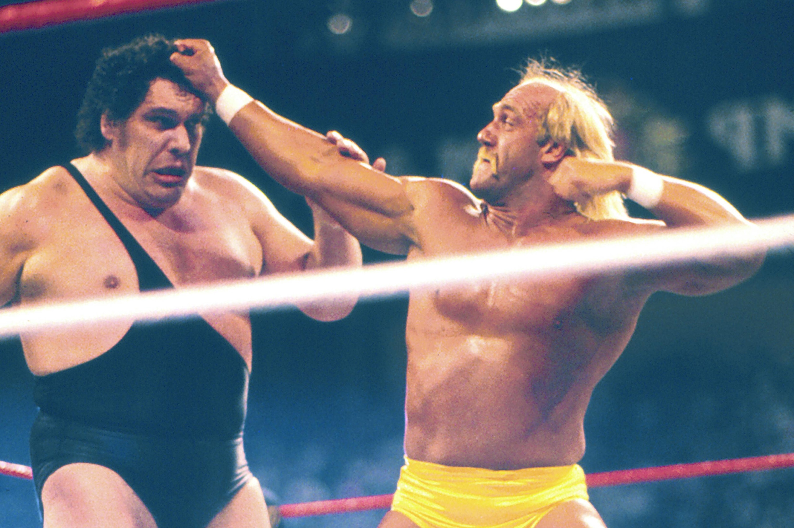 HULK HOGAN AND ANDRE THE GIANT HULK HOGAN AND ANDRE THE GIANT