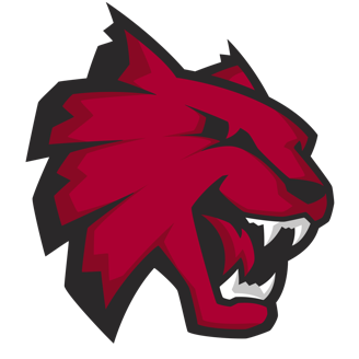 Central Wash. logo
